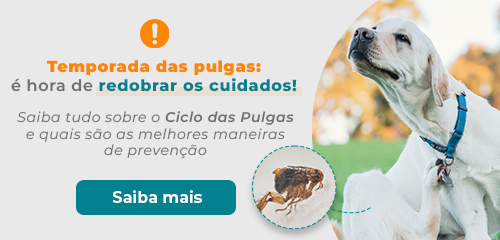 Cobasi é eleita a pet shop mais amada de São Paulo - Blog da Cobasi