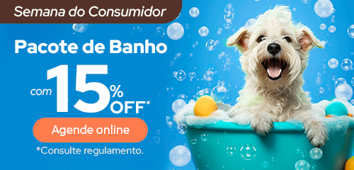 Pet Anjo