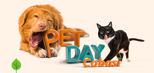 Pet Day até 70% off