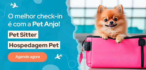 Pet Anjo 