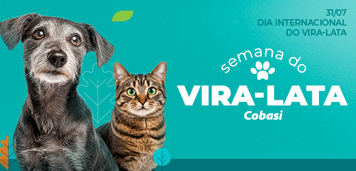 Semana do Vira Lata até 40% OFF