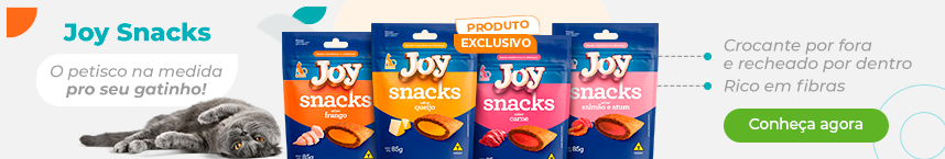 Conheça agora | Joy Snacks
