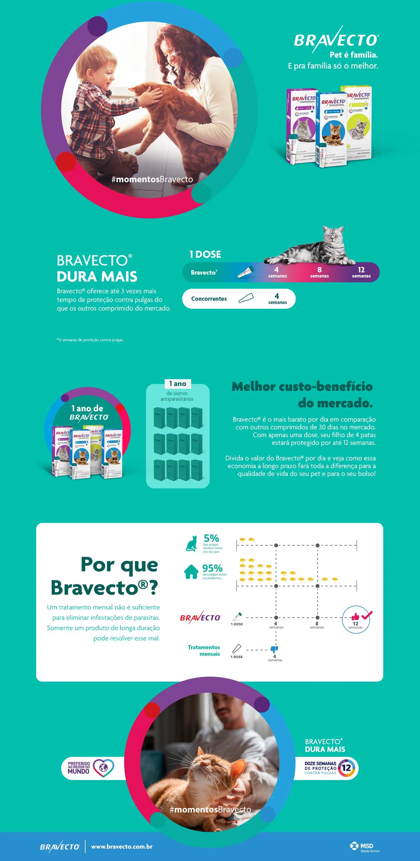  Bravecto Transdermal Gatos